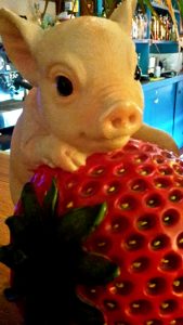 Picture from the Isla Ray bar of an plastic pig and a big strawberry